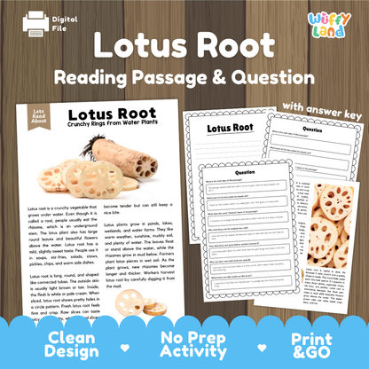 Lotus root reading comprehension passage and questions printable activity pack with answer key for elementary students
