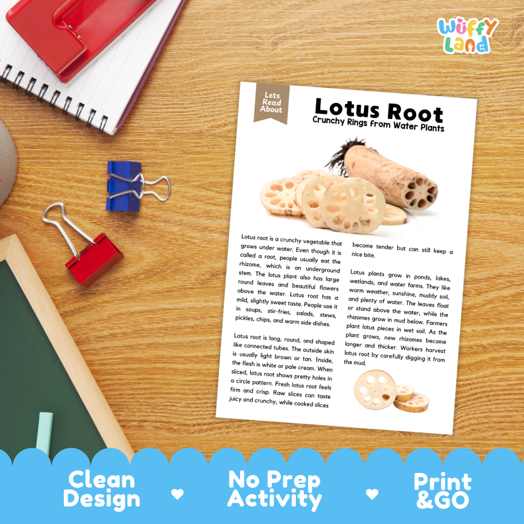 Student reading comprehension worksheet with short-answer questions and lined sections about lotus root aquatic vegetables