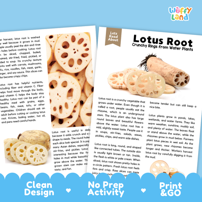 Teacher answer key page showing complete question solutions for lotus root reading comprehension practice