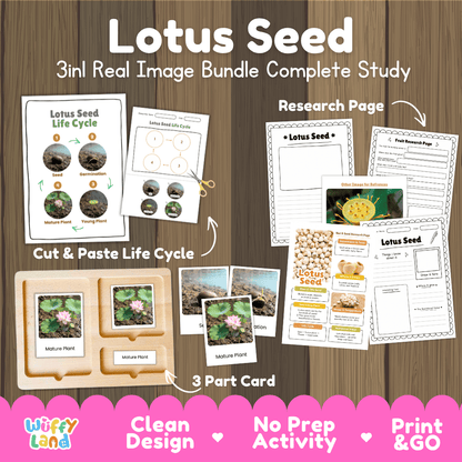 Complete Lotus Seed 3-in-1 real image study bundle featuring cut and paste worksheets, Montessori 3-part cards, and research pages 🪷🌱