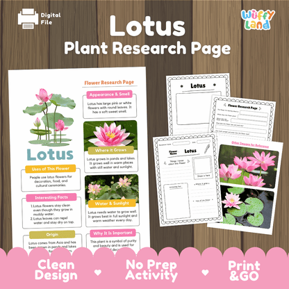 Lotus Plant Research Page Worksheets and Information Poster