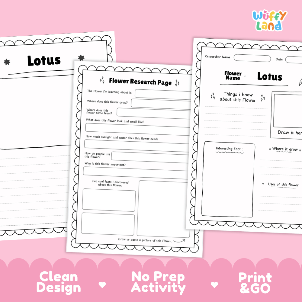 Lotus Plant Research Page Worksheets and Information Poster
