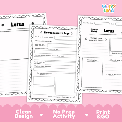 Lotus Plant Research Page Worksheets and Information Poster