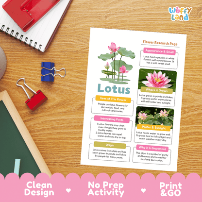 Lotus Plant Research Page Worksheets and Information Poster