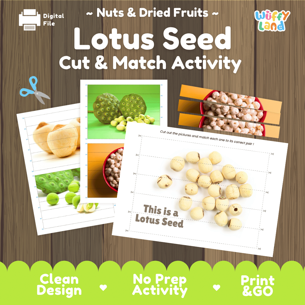 Lotus Seed Cut and Match Activity Worksheets | Nuts and Dried Fruits Puzzle Printables