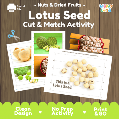 Lotus Seed Cut and Match Activity Worksheets | Nuts and Dried Fruits Puzzle Printables