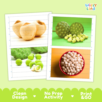 Lotus Seed Cut and Match Activity Worksheets | Nuts and Dried Fruits Puzzle Printables