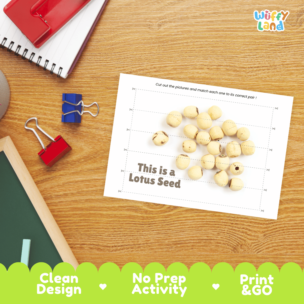 Lotus Seed Cut and Match Activity Worksheets | Nuts and Dried Fruits Puzzle Printables