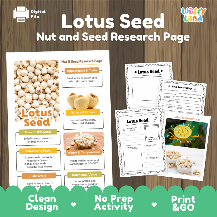 Digital printable activity sheet set titled 'Lotus Seed Nut and Seed Research Page' by Wiffly Land, shown on a wood-textured background with sample pages and feature callouts.