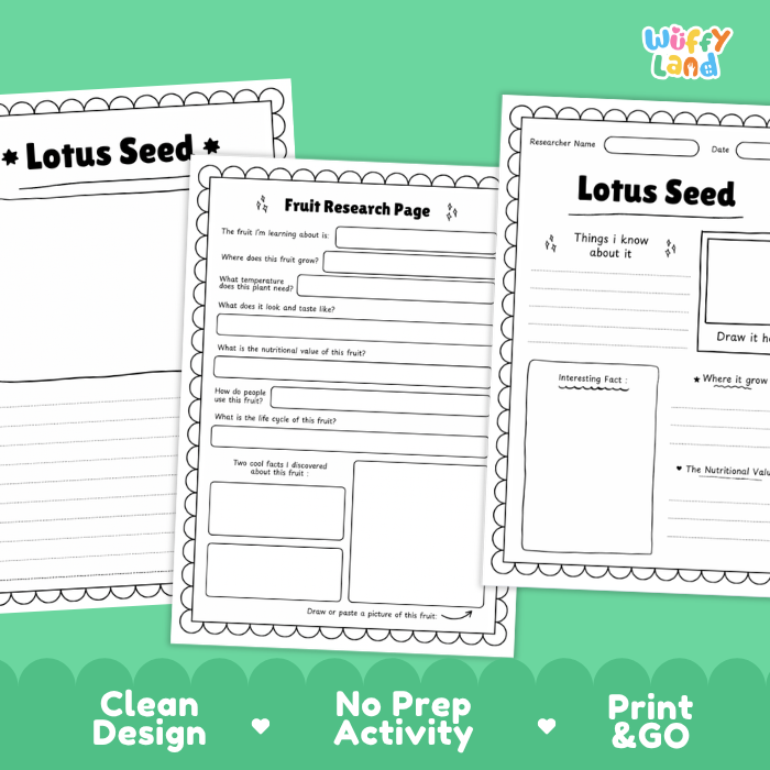Three printable worksheet pages for a lotus seed fruit research project are shown on a bright green background. The pages are labeled 'Lotus Seed' and include writing sections, fact boxes, and drawing areas.