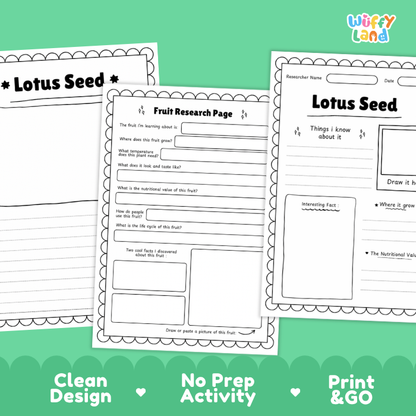 Three printable worksheet pages for a lotus seed fruit research project are shown on a bright green background. The pages are labeled 'Lotus Seed' and include writing sections, fact boxes, and drawing areas.