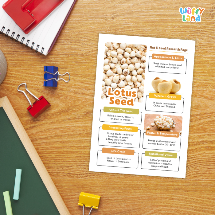 Lotus Seed Nut and Seed Research Page Worksheets
