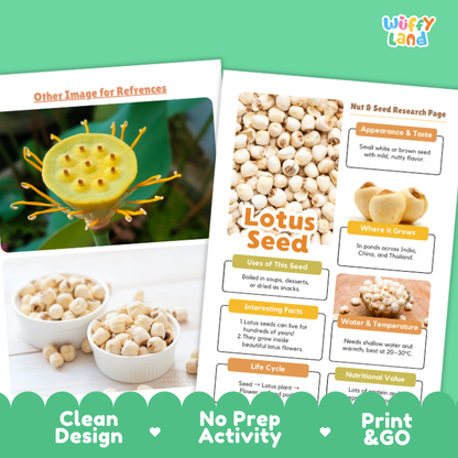 Lotus Seed Nut and Seed Research Page Worksheets