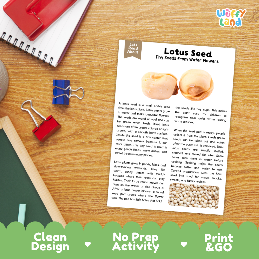 A printed educational activity sheet titled 'Lotus Seed' lies on a wooden desk, surrounded by school supplies including a red notebook, blue binder clips, and a pencil. The sheet includes a small photo of a lotus seed and a short text activity.