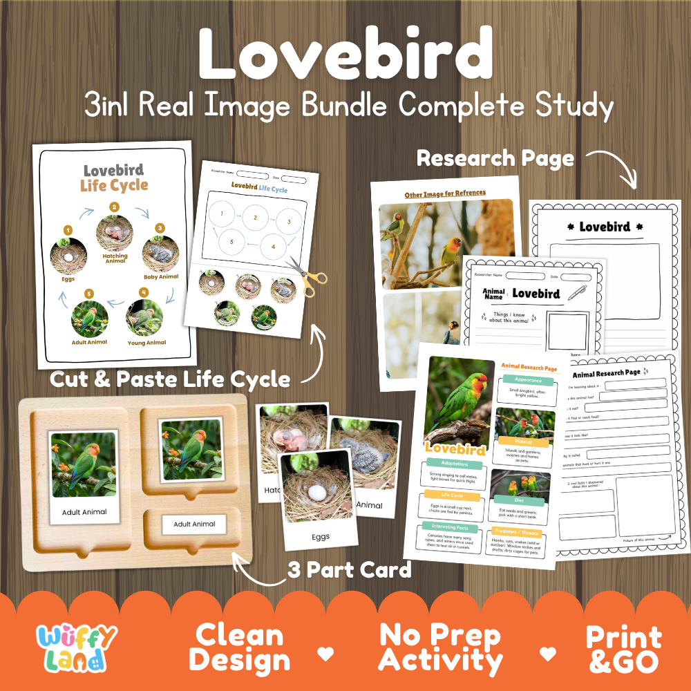 Lovebird 3-in-1 real image bundle complete study cover showing cut and paste life cycle, 3 part cards, and research pages