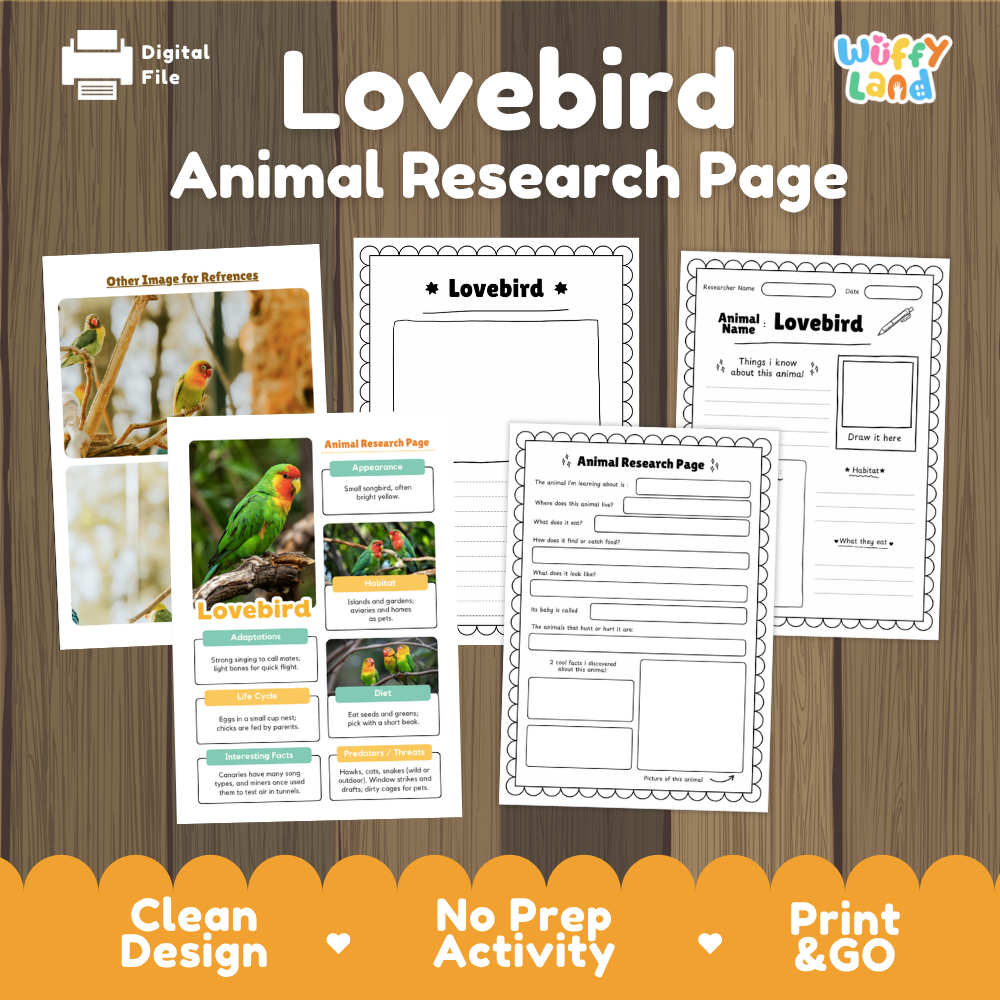 Lovebird Animal Research Page Worksheets