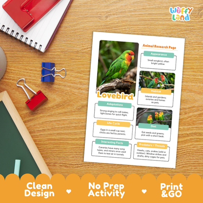 Lovebird Animal Research Page Worksheets