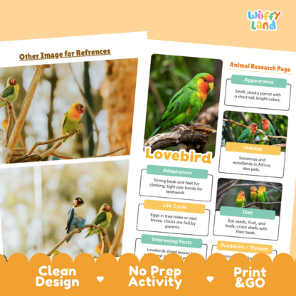 Lovebird Animal Research Page Worksheets