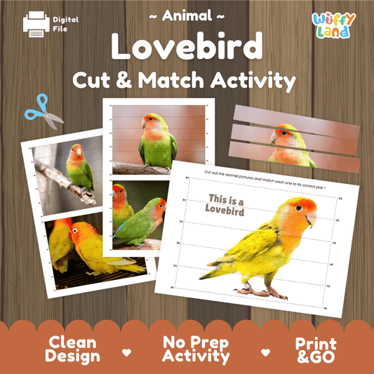 Lovebird Cut and Match Activity Worksheets | Pet Bird Puzzle Printables