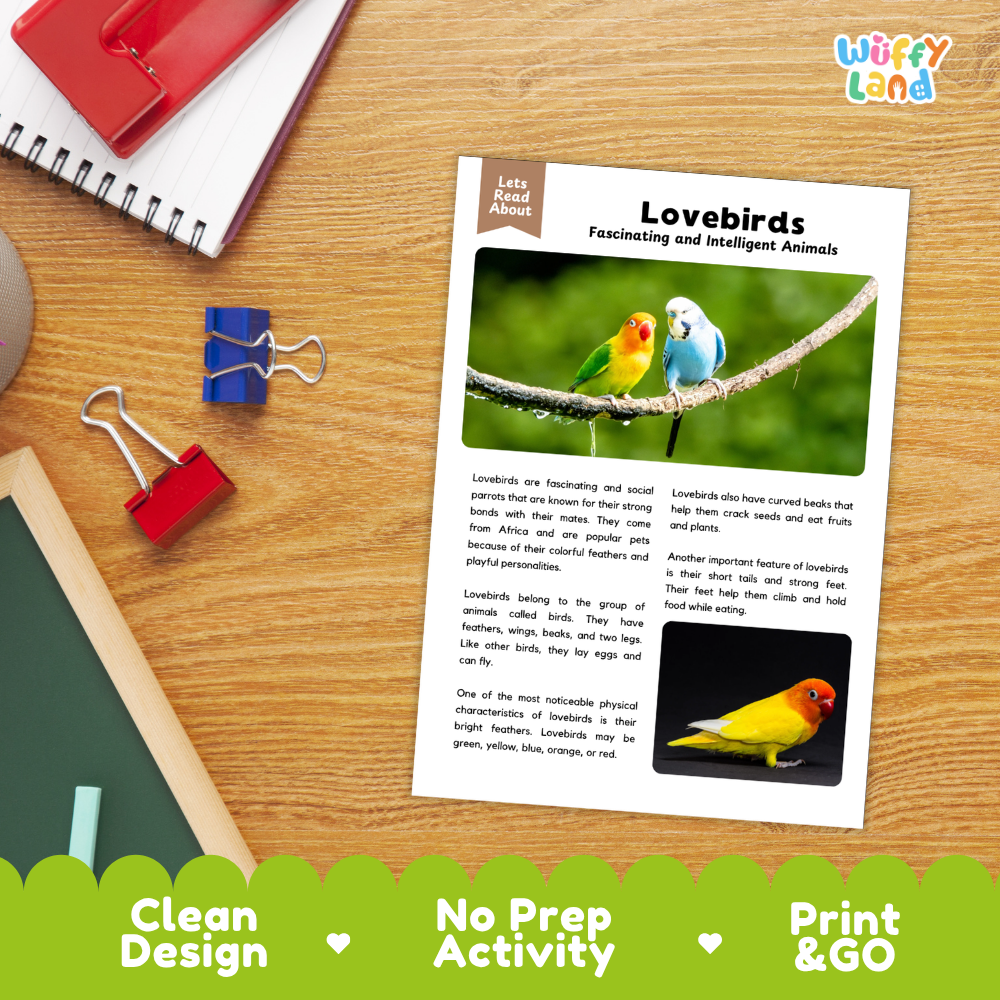 Lovebirds Reading Passage and Comprehension Questions Worksheets with Answer Key