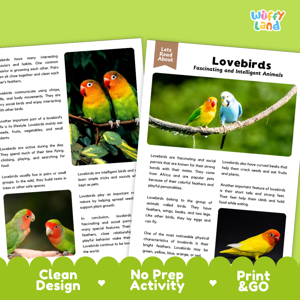 Lovebirds Reading Passage and Comprehension Questions Worksheets with Answer Key