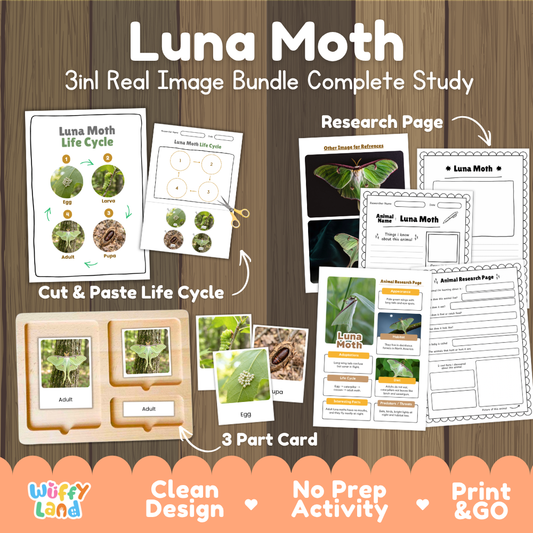 Luna Moth 3-in-1 real image bundle complete study cover showing cut and paste life cycle, 3 part cards, and research pages