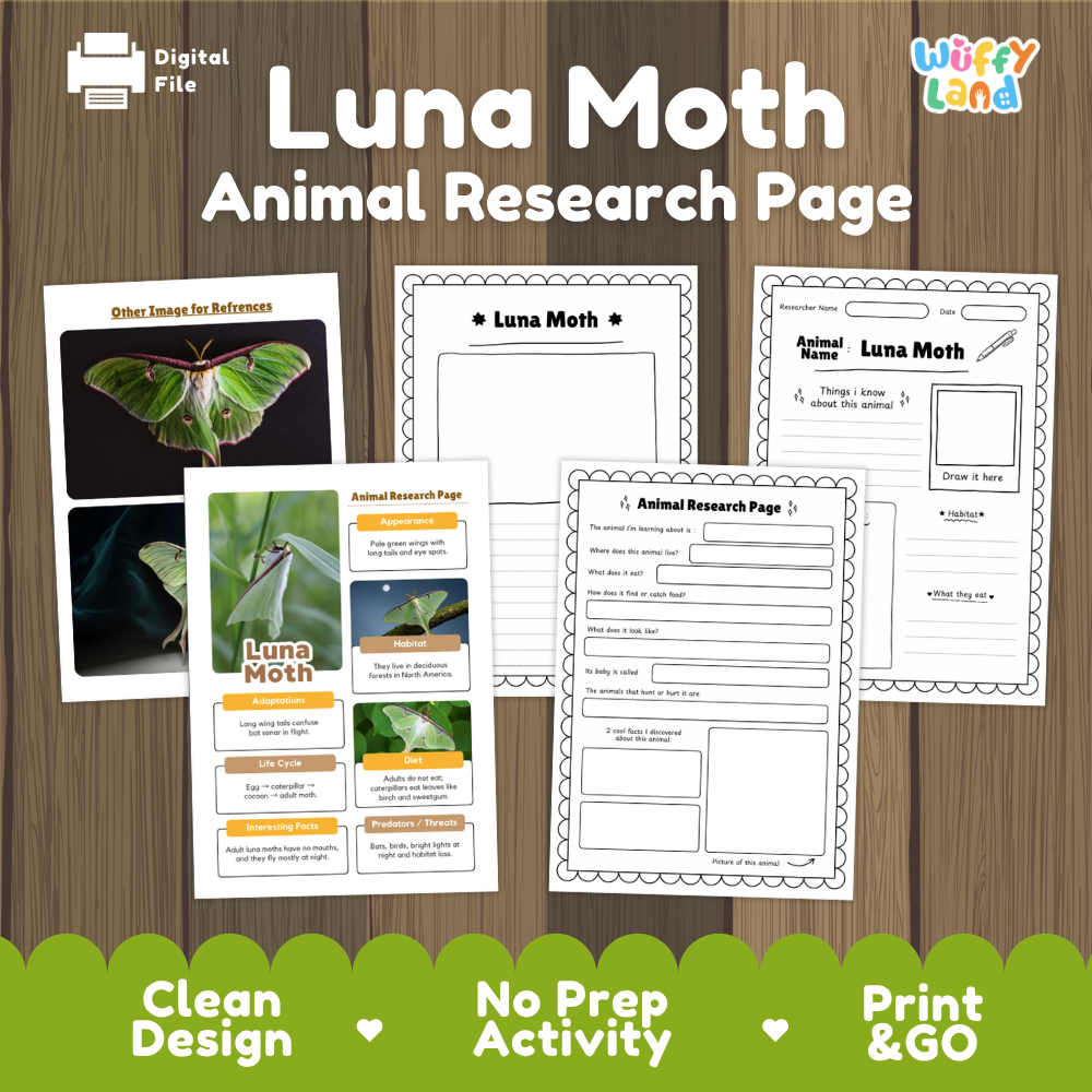 Luna Moth Animal Research Page Worksheets