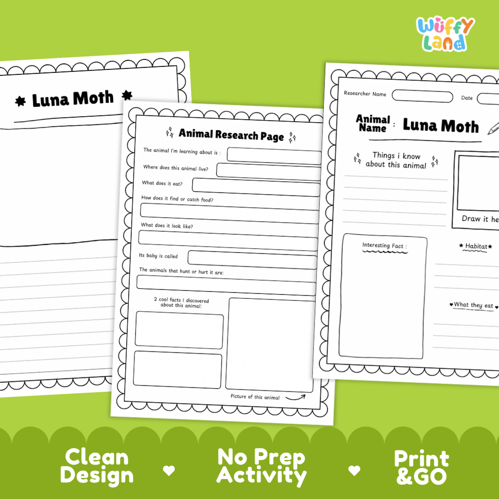 Luna Moth Animal Research Page Worksheets