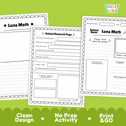 Luna Moth Animal Research Page Worksheets