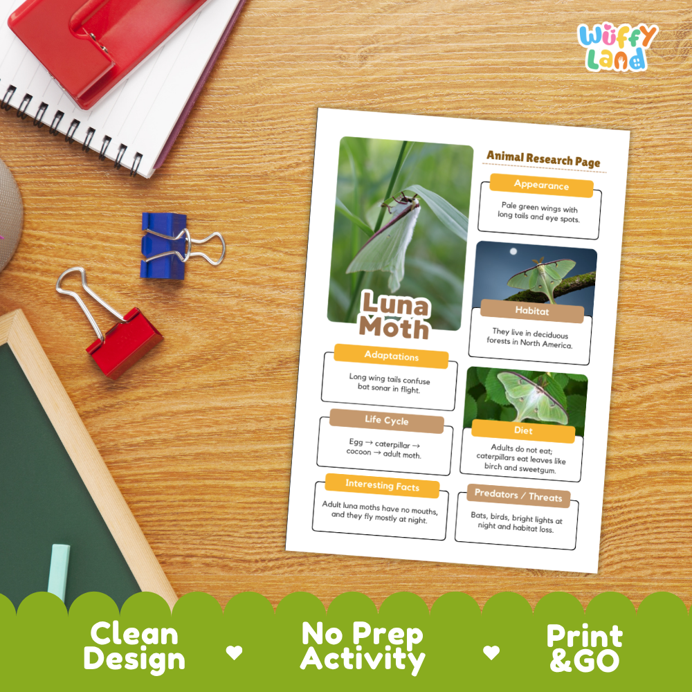 Luna Moth Animal Research Page Worksheets