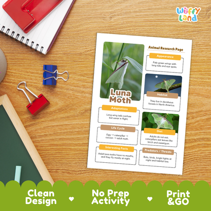 Luna Moth Animal Research Page Worksheets