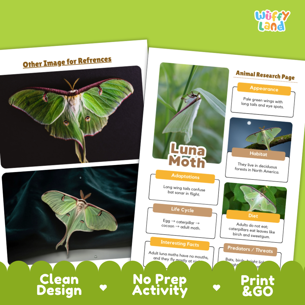 Luna Moth Animal Research Page Worksheets
