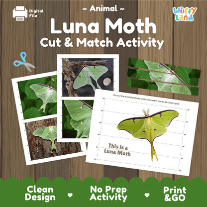 Luna Moth Cut and Match Activity Printables Worksheets