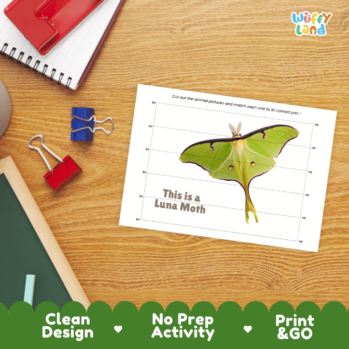 Luna Moth Cut and Match Activity Printables Worksheets