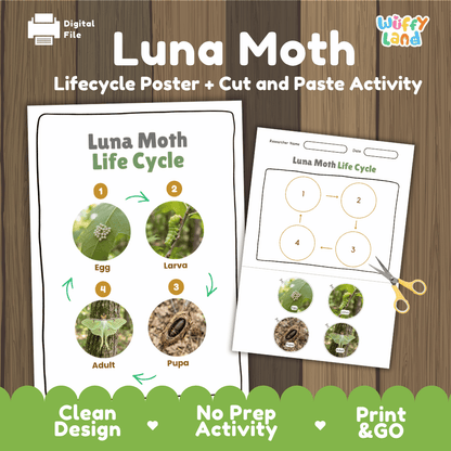 Luna Moth Life Cycle Poster and Cut and Paste Activity Worksheets
