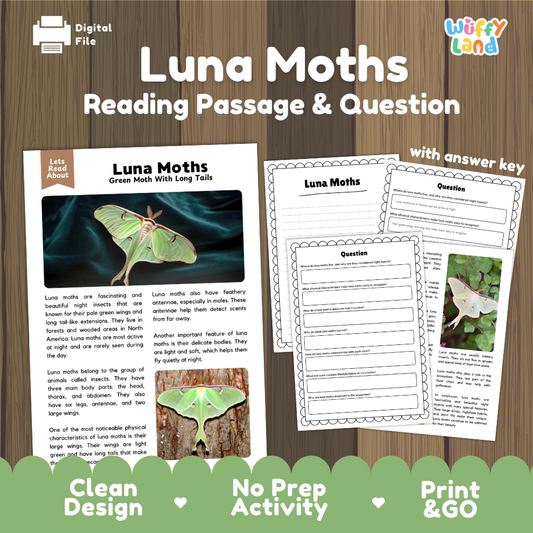 Luna Moths Reading Passage and Comprehension Questions Worksheets
