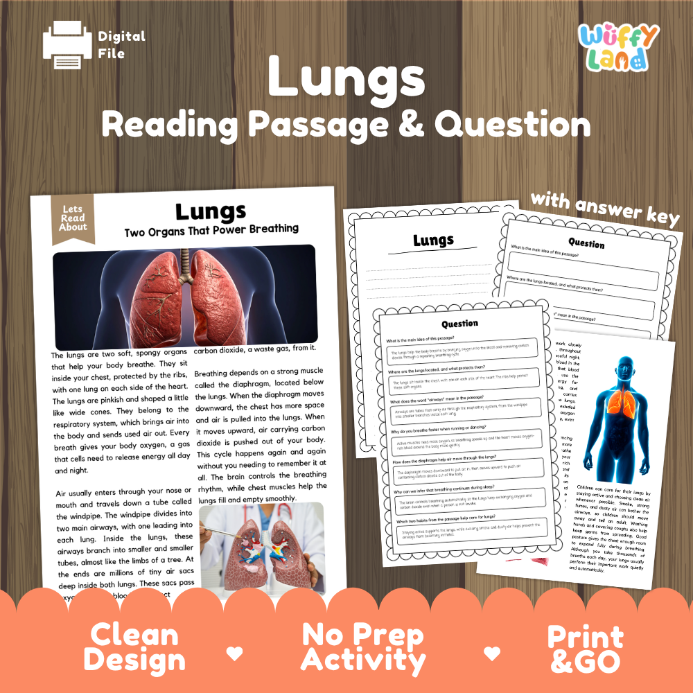 Lungs reading comprehension passage and questions printable activity pack with answer key for elementary students