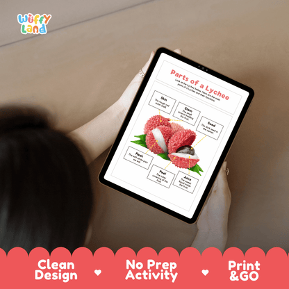 Educational cut and paste lychee fruit anatomy worksheet with printable word cutout tiles for skin, stem, seed, flesh, peel, and juice