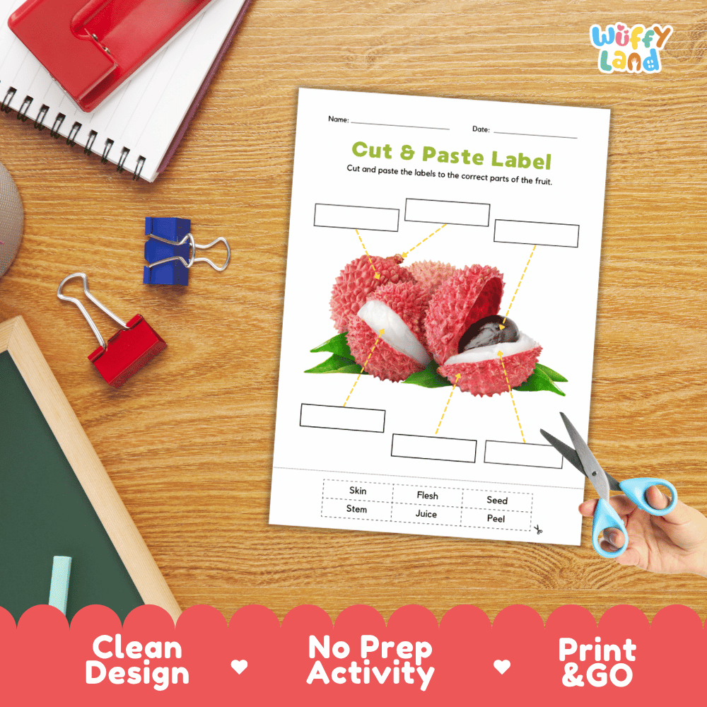 Printable plant biology worksheet showing realistic peeled and cut lychee fruits with blank labeling boxes and a vocabulary word bank for writing practice