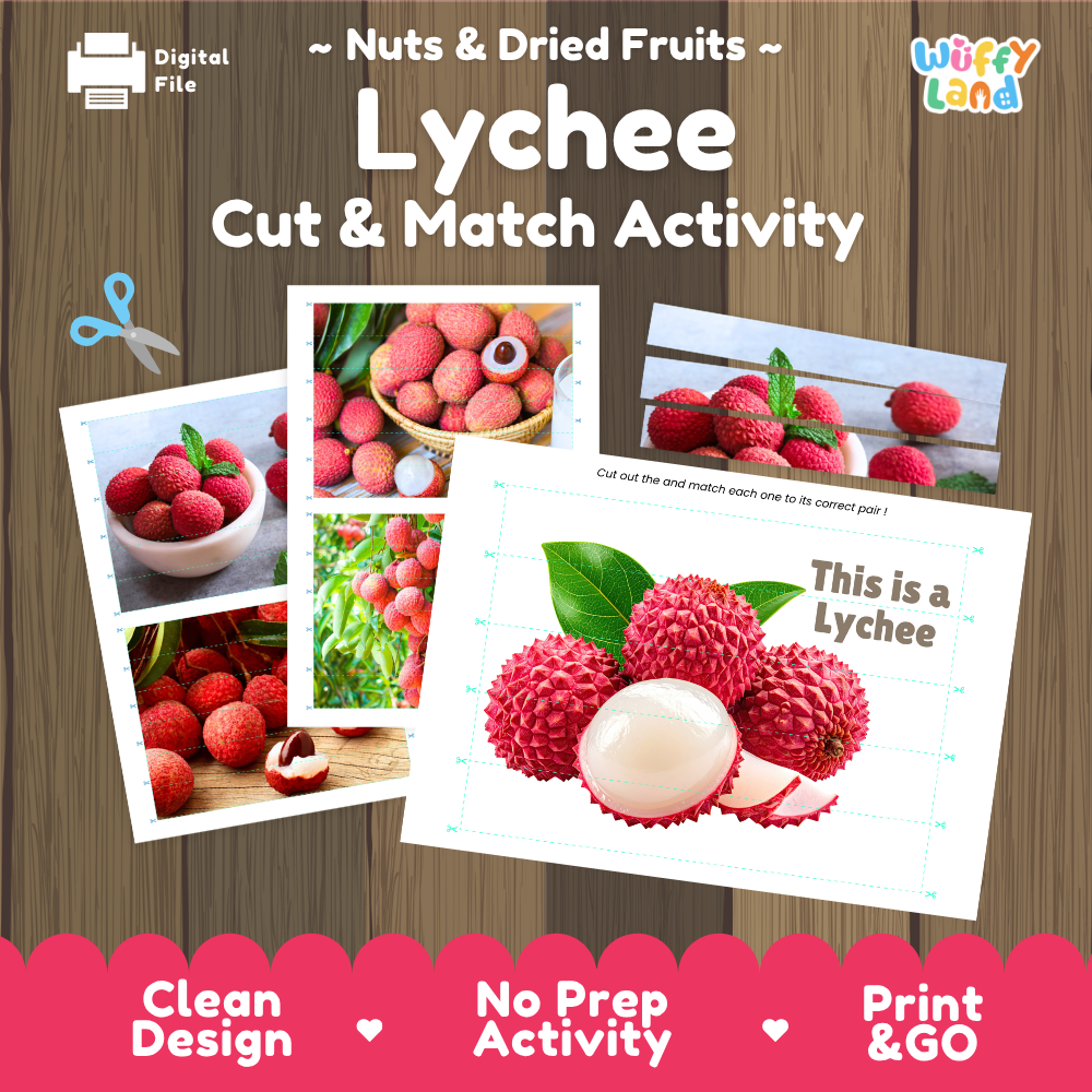 Lychee cut and match activity cover showing printable fine motor puzzle sheets and fruit photographs