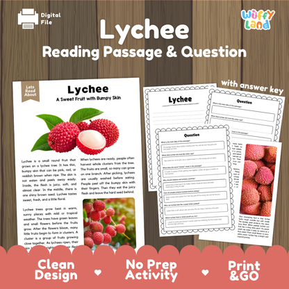 Lychee reading comprehension passage and questions printable activity pack with answer key for elementary students