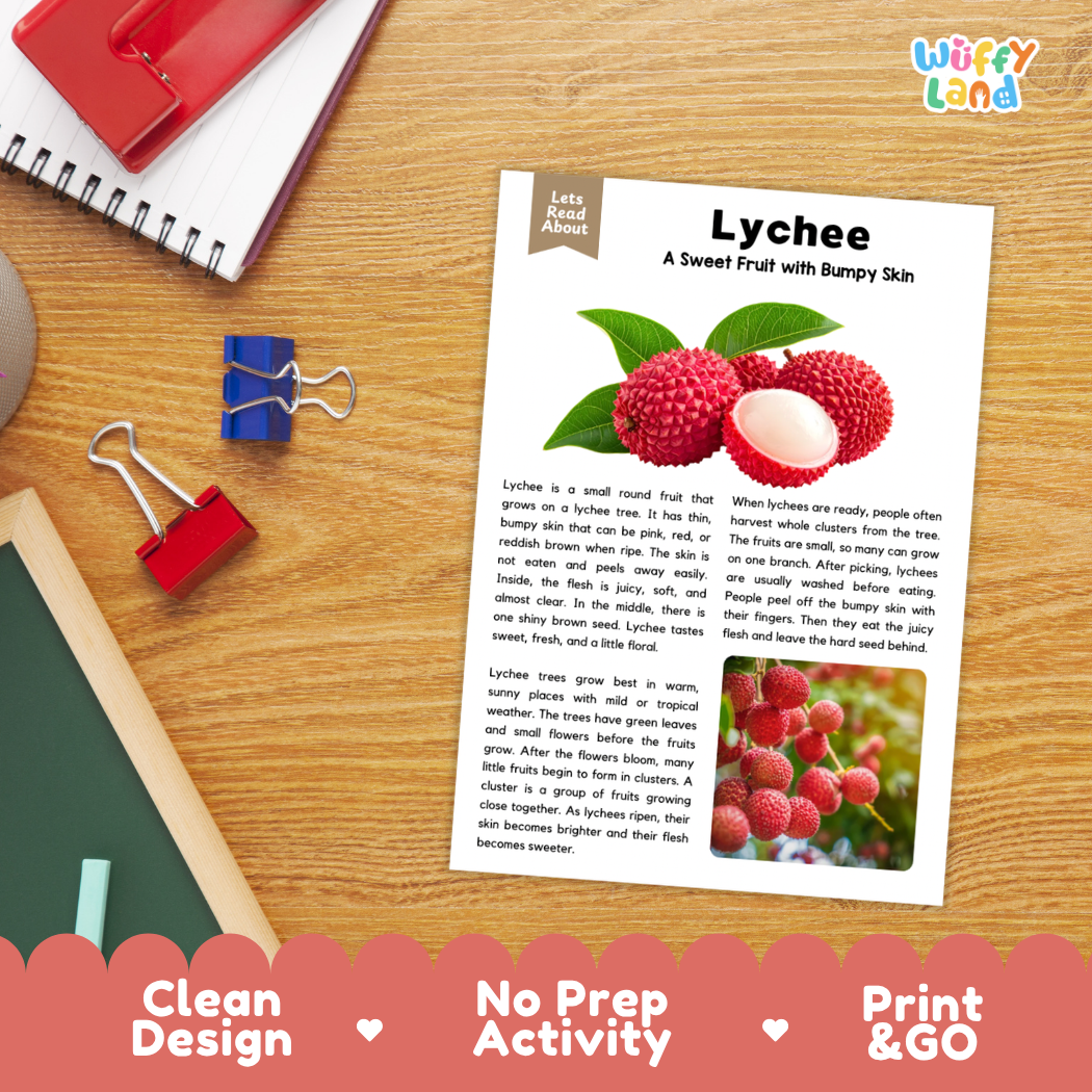 Student reading comprehension worksheet with short-answer questions and lined sections about the lychee fruit