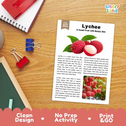 Student reading comprehension worksheet with short-answer questions and lined sections about the lychee fruit
