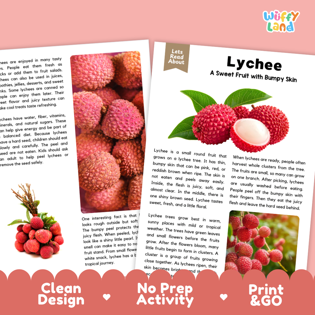 Teacher answer key page showing complete question solutions for Lychee nature and science reading comprehension practice