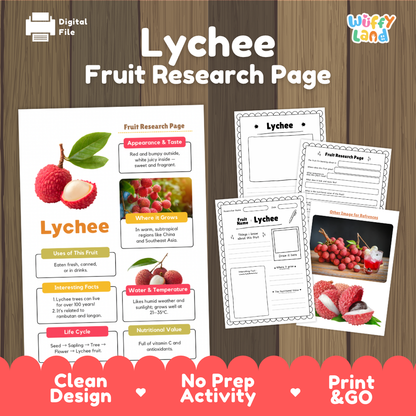 Lychee Fruit Research Page Worksheets and Fact Sheet
