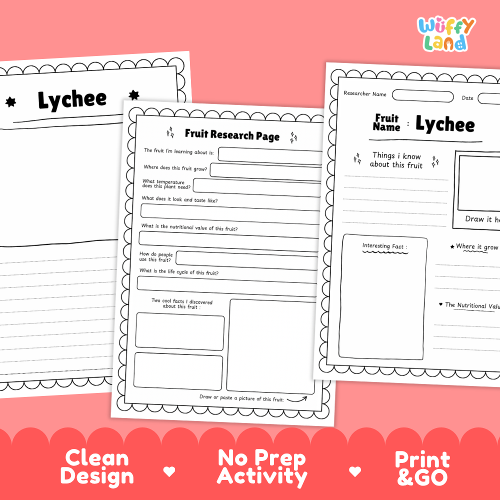 Lychee Fruit Research Page Worksheets and Fact Sheet
