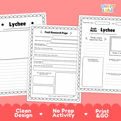 Lychee Fruit Research Page Worksheets and Fact Sheet