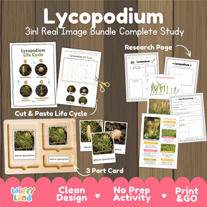 Lycopodium plant 3in1 real image bundle complete study printable featuring life cycle cut and paste worksheets, Montessori 3-part cards, and research pages