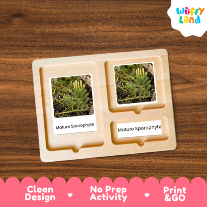 A wooden educational activity tray from Wuffy Land, featuring two compartments with printed photos of a moss plant labeled 'Mature Sporophyte' on white cards, displayed on a dark wood background with a pink promotional banner at the bottom.