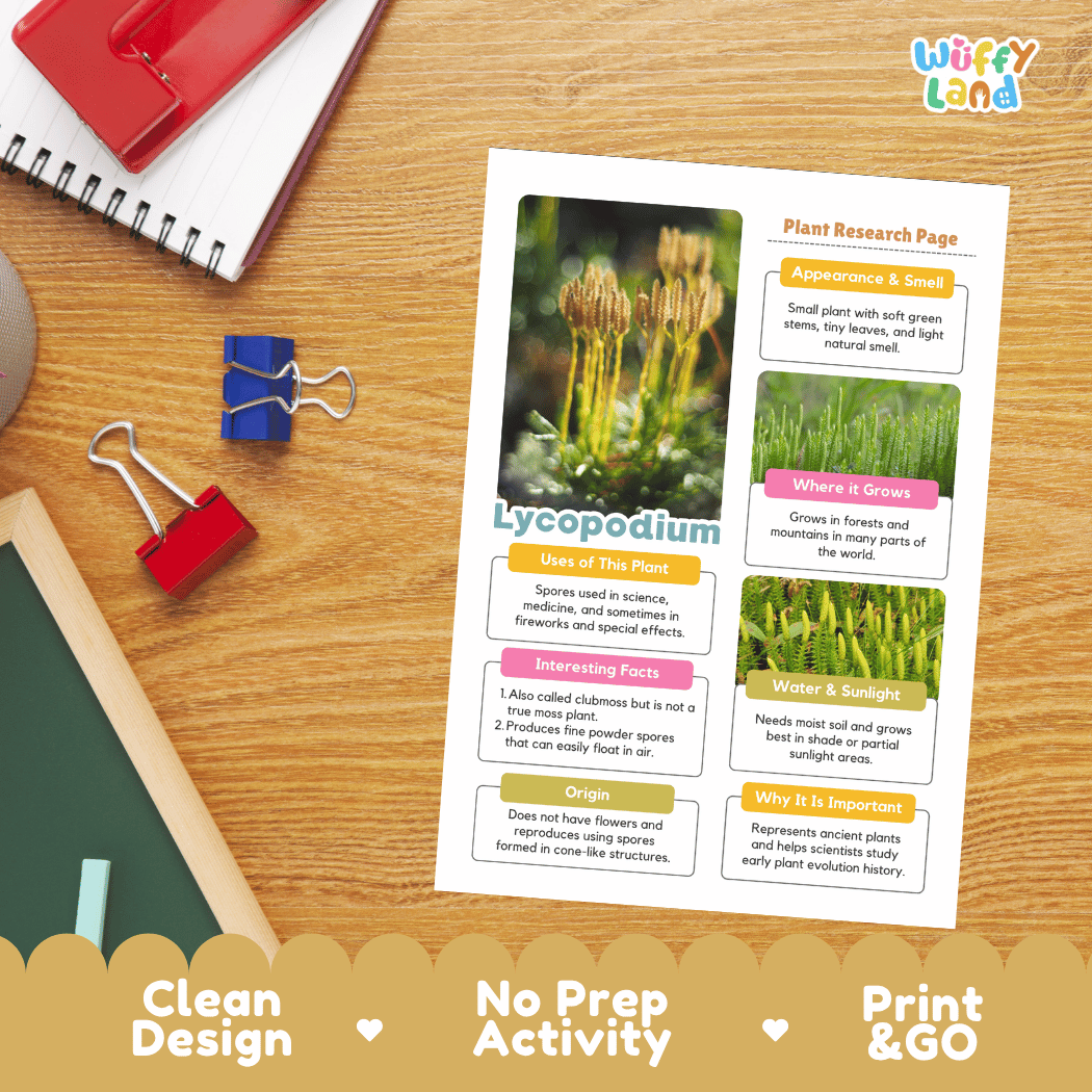 Lycopodium Plant Research Pages and Worksheets